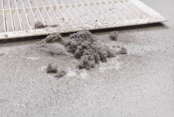 Best Air Vent Cleaning Services  in Foothill Farms, CA