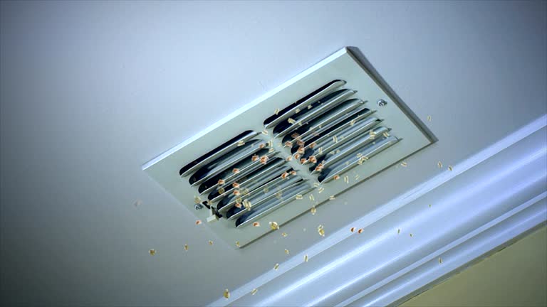 Best Dryer Vent Cleaning Services  in Foothill Farms, CA