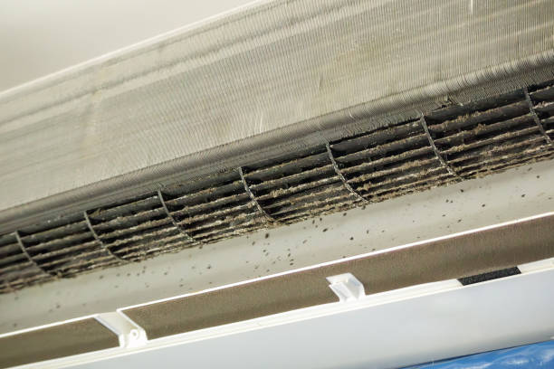 Best Air Duct Cleaning Company Near Me  in Foothill Farms, CA